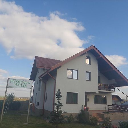 Pensiunea Lucian Baltati 외부 사진